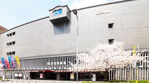 National Bunraku Theater